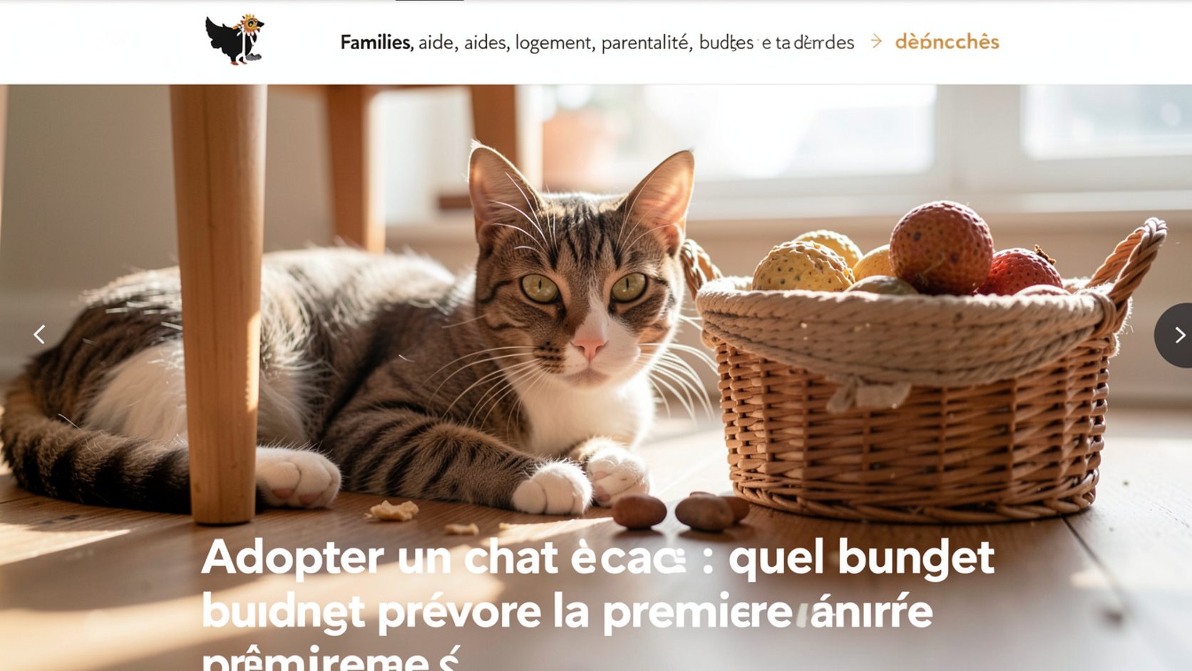 Un chaton au pelage tacheté explore un arbre à chat installé près d'une bibliothèque.